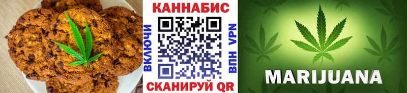 Купить закладки  Кировск  Canna-Cookies марихуана 