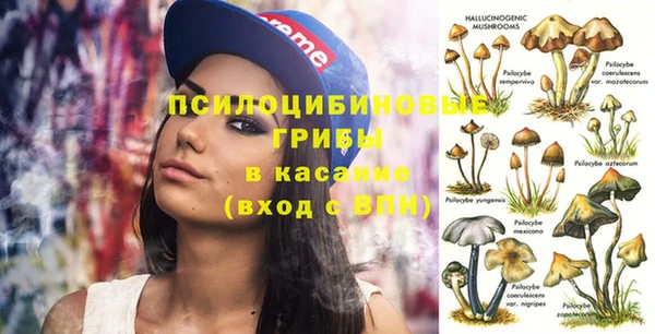 прущая мука Верея