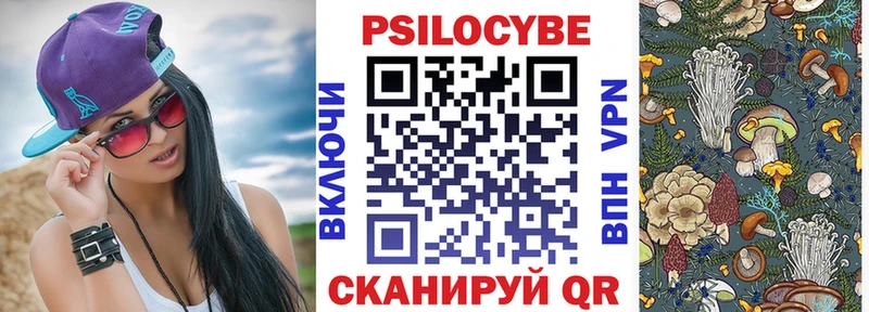 Купить где  Кировск  Галлюциногенные грибы GOLDEN TEACHER 